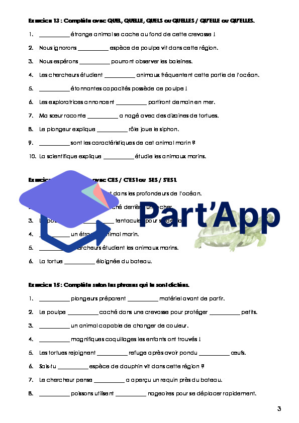 Français - 8e - Module 1 (2) - Dossier homophones et déterminants (orthographe)_4
