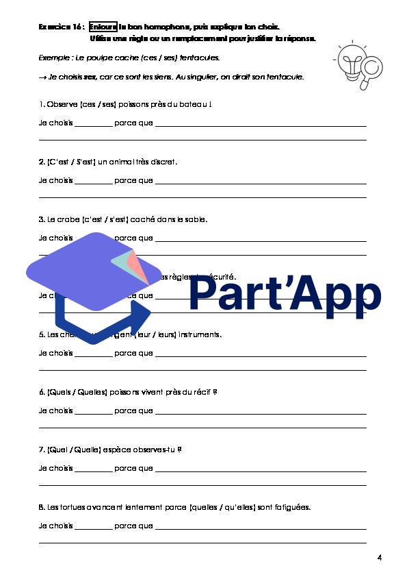 Français - 8e - Module 1 (2) - Dossier homophones et déterminants (orthographe)_5