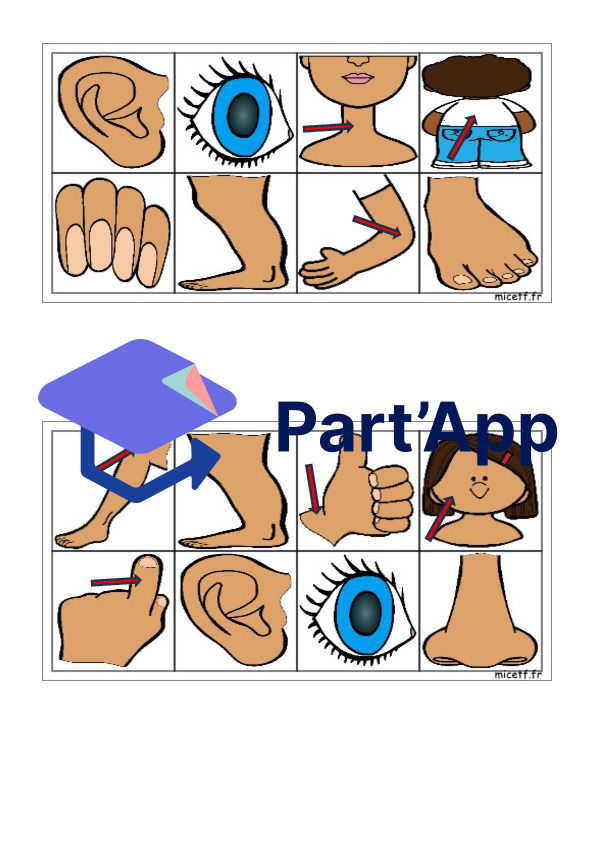 Panneaux En Feutre 30 Pièces - Puzzle Anatomie Corps Humain Pour Enfants - Kit Éducatif Interactif Apprentissage Corps Humain Panneaux En Feutre 30 Pièces - Puzzle Anatomie Corps Humain Pour Enfants - Kit Éducatif Interactif Apprentissage Corps Humain