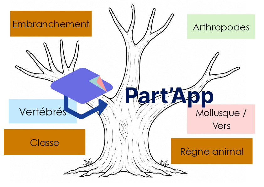 Outils pour le règne animal_2