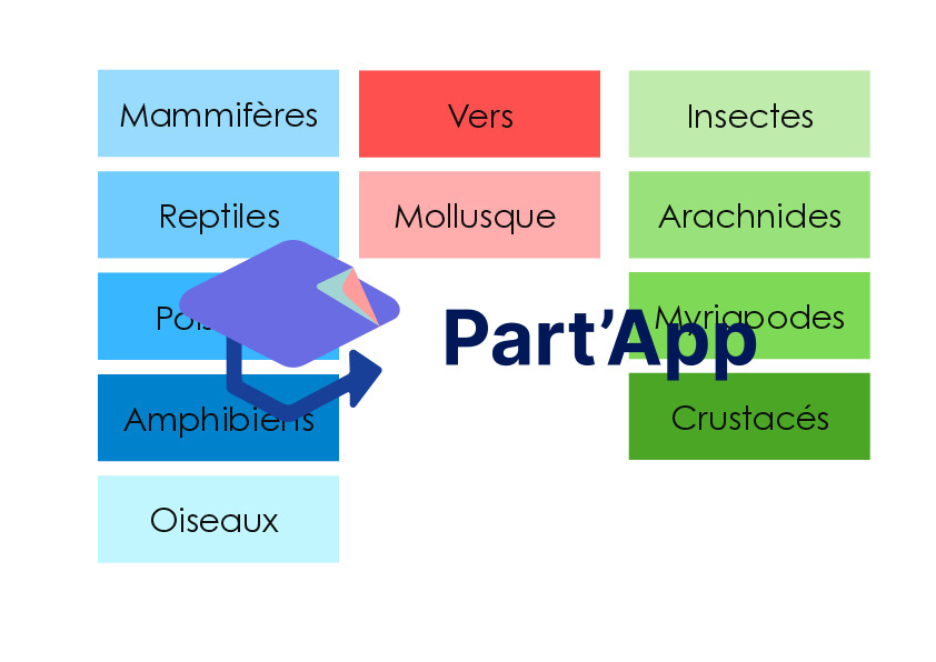 Outils pour le règne animal_4