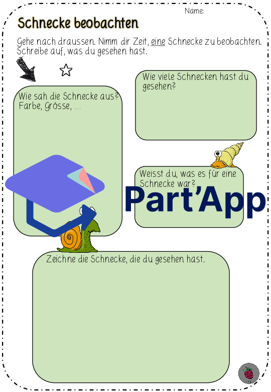 Schnecke beobachten - Sachthema Schnecke (CH-Version)_4