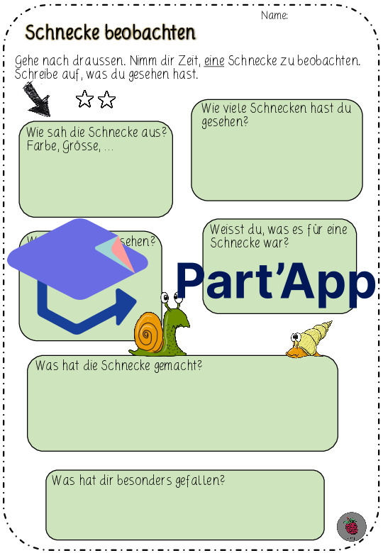Schnecke beobachten - Sachthema Schnecke (CH-Version)_5