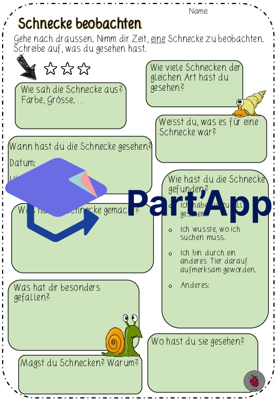 Schnecke beobachten - Sachthema Schnecke (CH-Version)_6