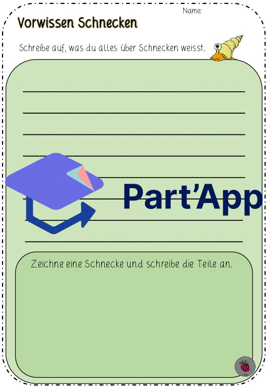 Schnecke beobachten - Sachthema Schnecke (CH-Version)_7