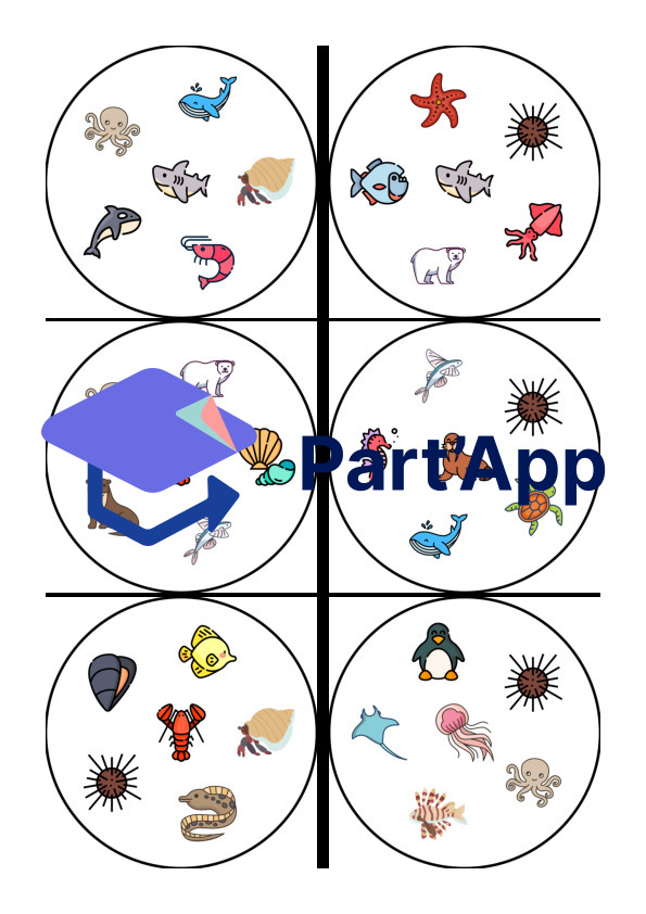 Jeu des doubles des animaux marins_4
