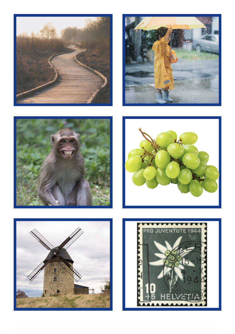 ain/ein/in/im : Étiquettes vocabulaire - Temps 6 (4P)_4