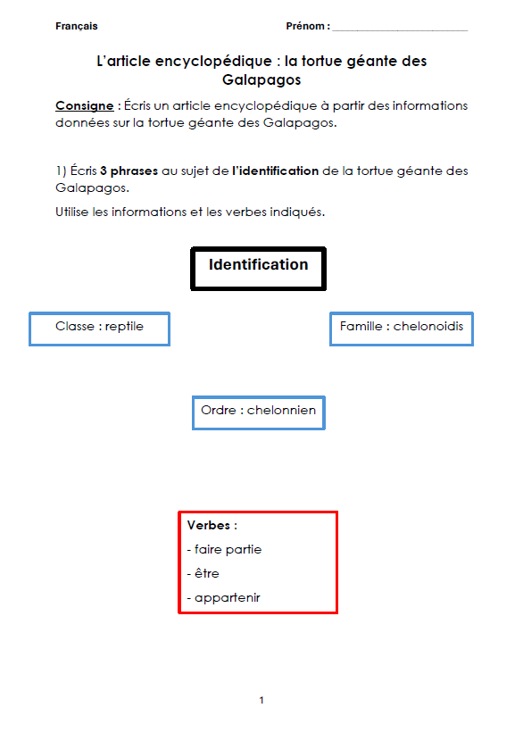 Article Encyclopédique Tortue_5