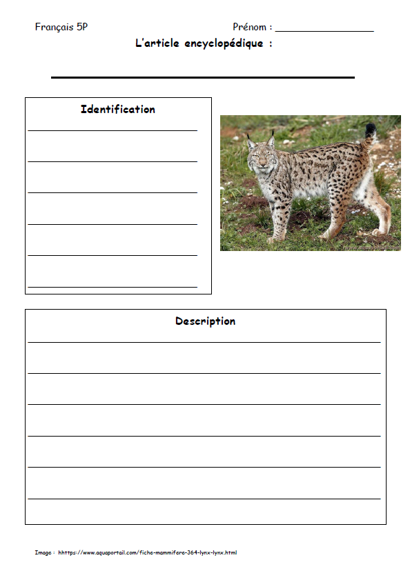 Article Encyclopédique Lynx_2