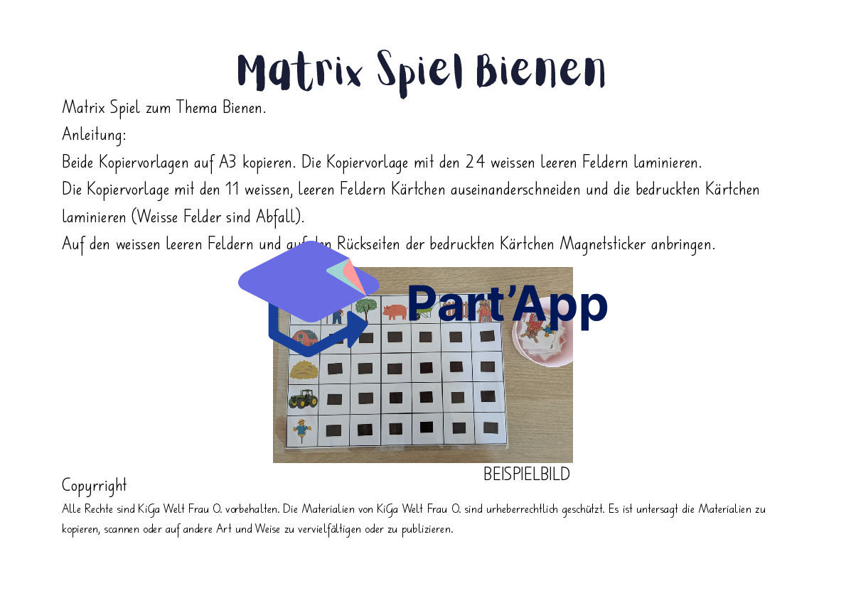 Matrix Spiel Bienen_32