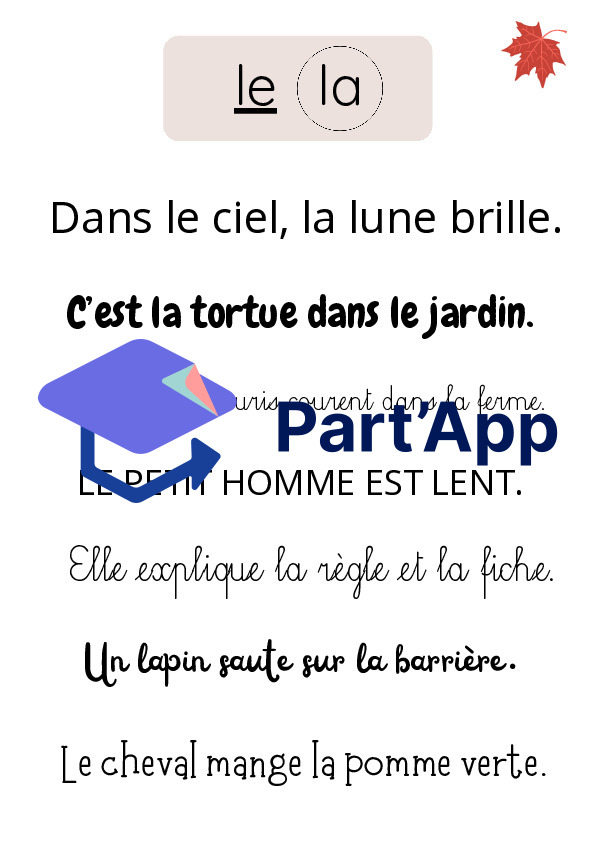Repérage visuel le/la_4