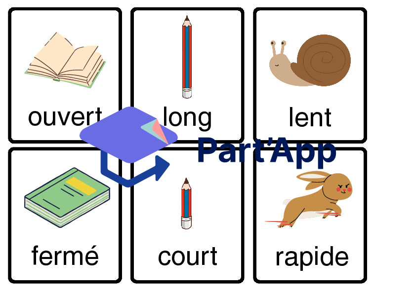Memory mots contraires_6