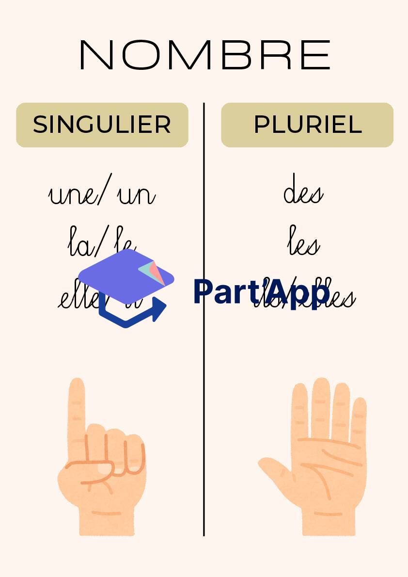 Affiche GENRE et NOMBRE_3
