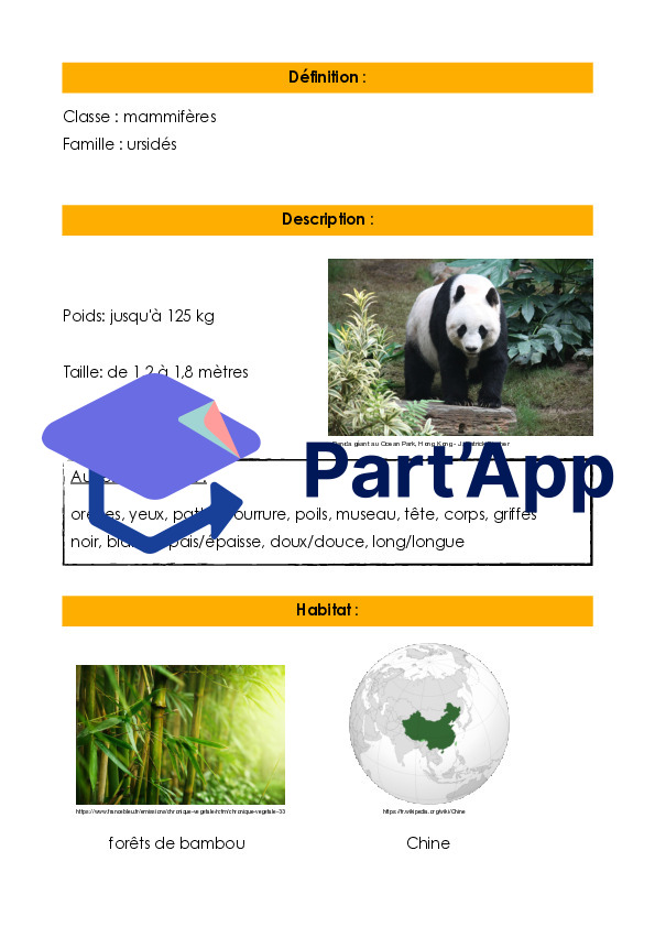 Article encyclopédique - Le panda - cahier d'informations_3