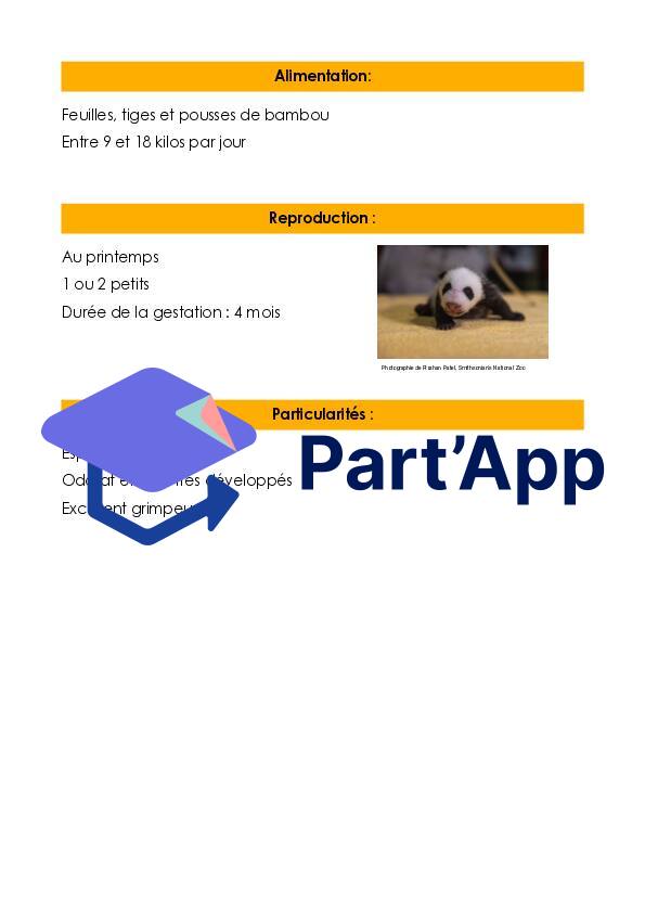 Article encyclopédique - Le panda - cahier d'informations_4