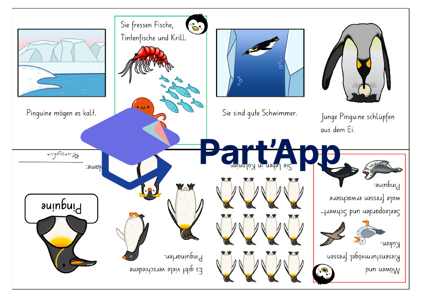 Mini-Book Pinguine_69