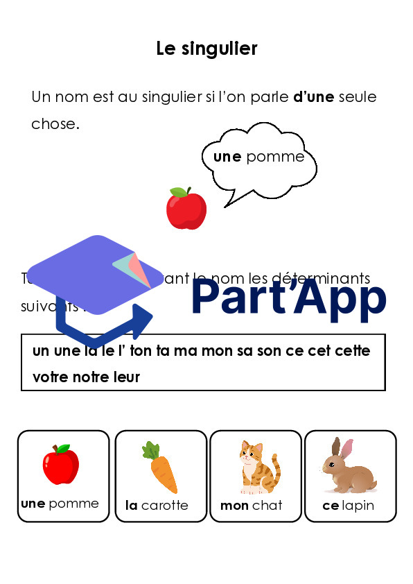 Dossier singulier pluriel 4H_3