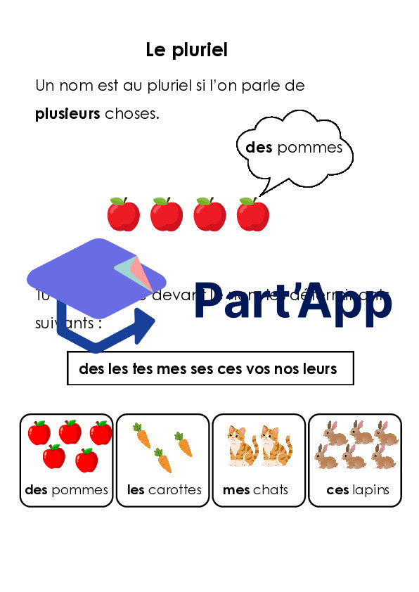 Dossier singulier pluriel 4H_4