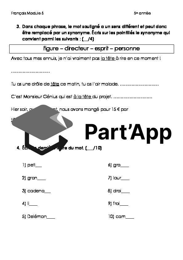 5e année Evaluation du module 6 entier (grammaire + orthographe + vocabulaire + conjugaison)_3
