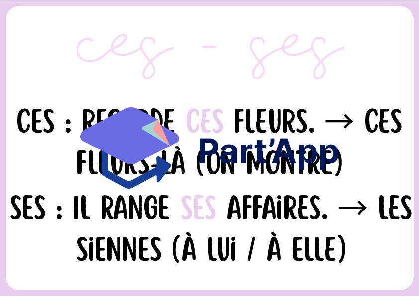 Fichier Mémento Homophones Grammaticaux : 7 Cartes Mémoire Visuelles & Astuces_9