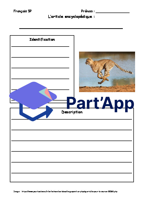 Article Encyclopédique Guépard_7