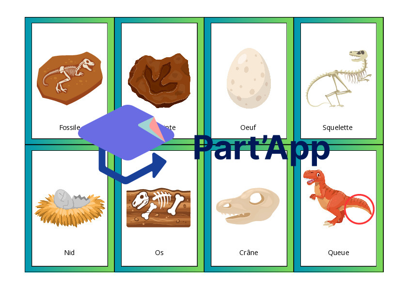 Le vocabulaire des dinosaures_35