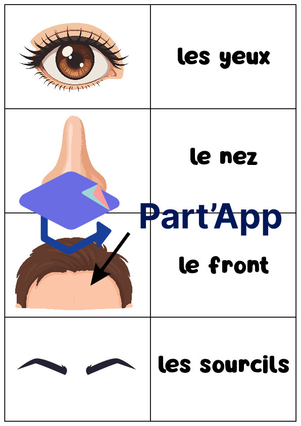 Atelier sur les parties du visage_2