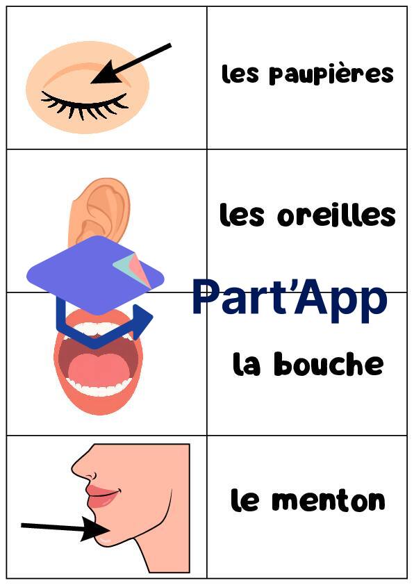Atelier sur les parties du visage_4