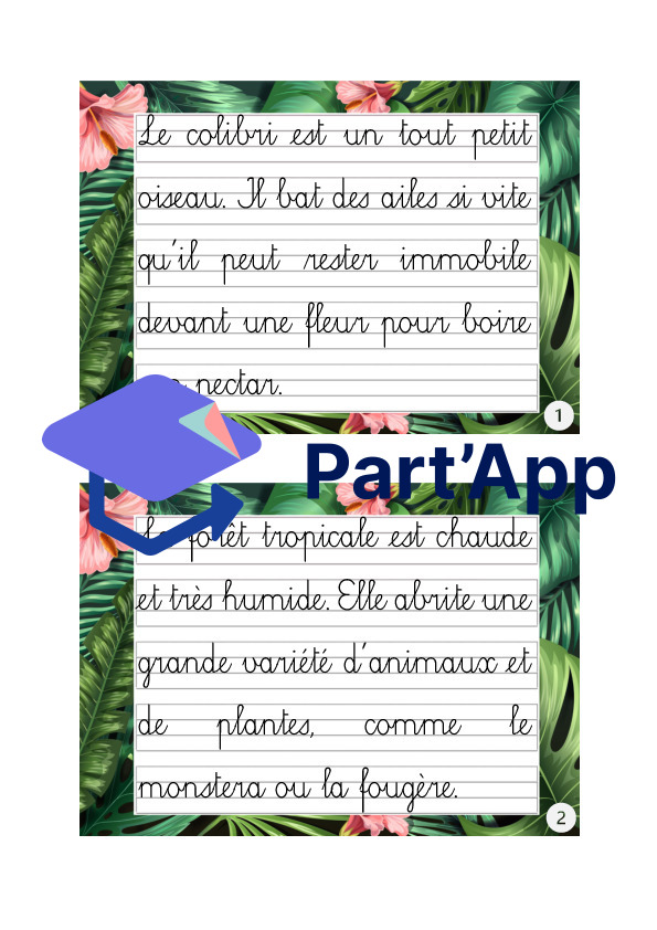Rallye copie (cursive) sur le thème tropical_2