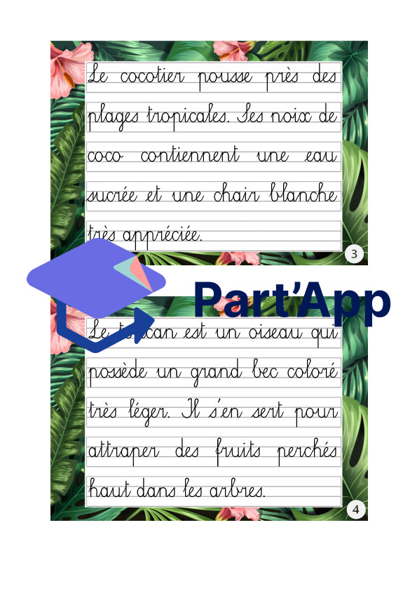 Rallye copie (cursive) sur le thème tropical_3
