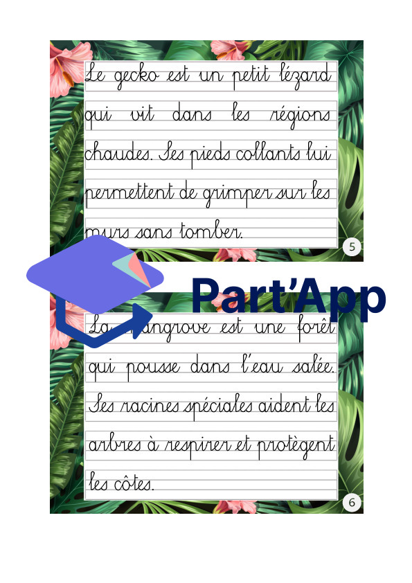 Rallye copie (cursive) sur le thème tropical_4
