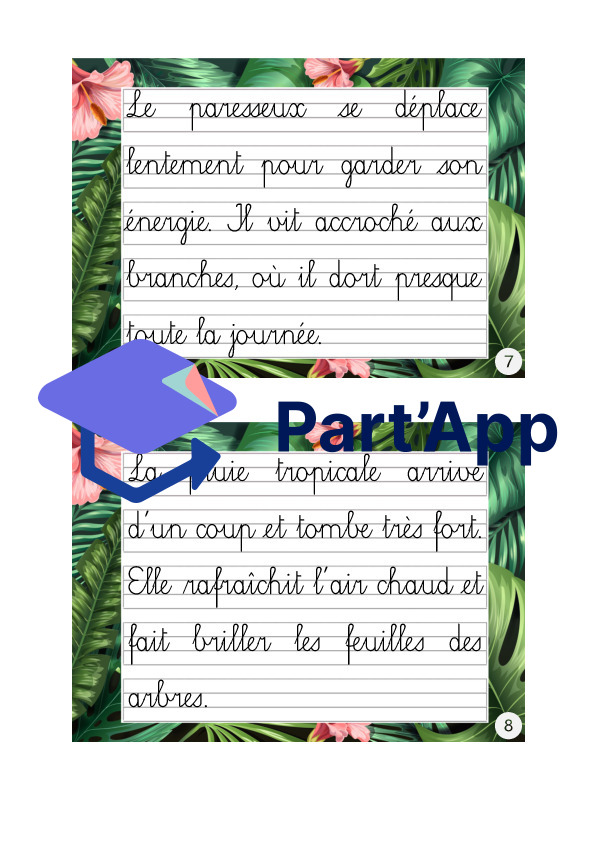Rallye copie (cursive) sur le thème tropical_5