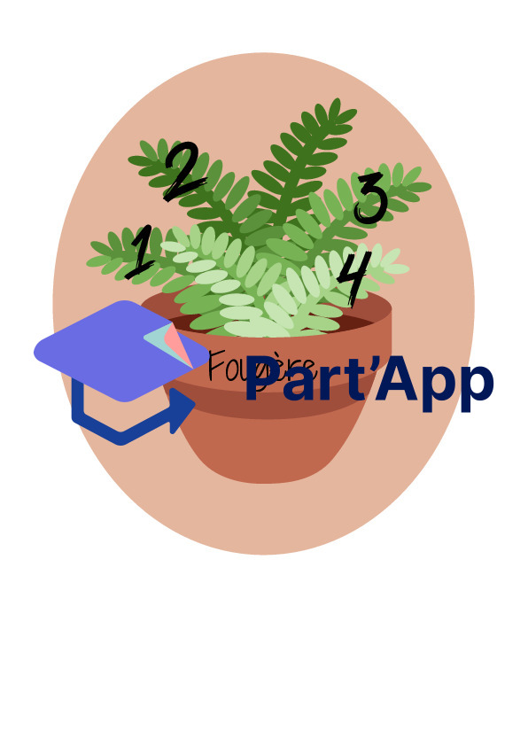 Nature - Formation de groupes_5