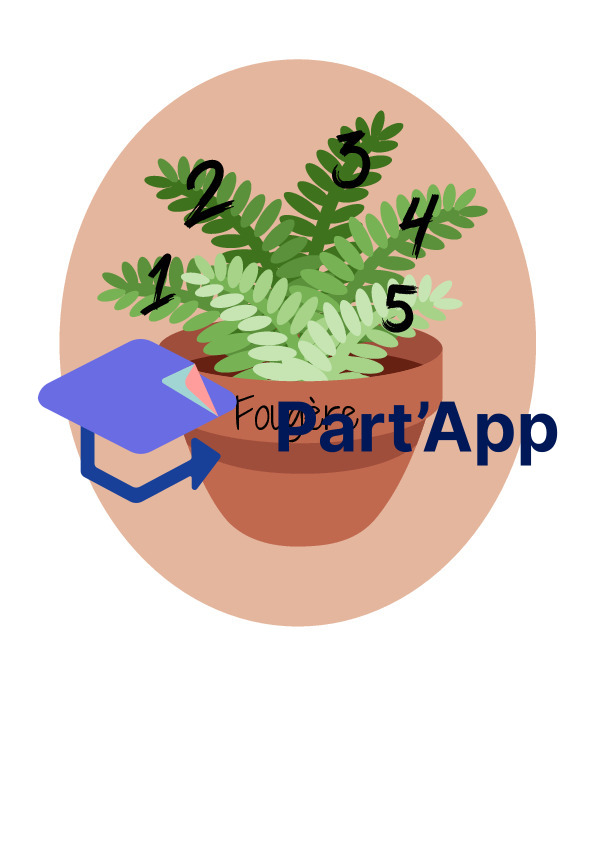 Nature - Formation de groupes_6