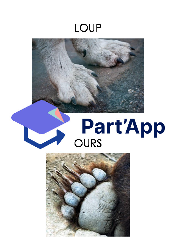 Empreintes d'animaux_2