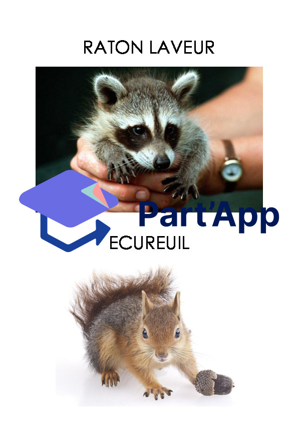 Empreintes d'animaux_7