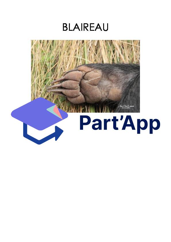Empreintes d'animaux_10