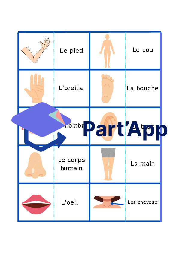 Domino sur les parties du corps humain_2