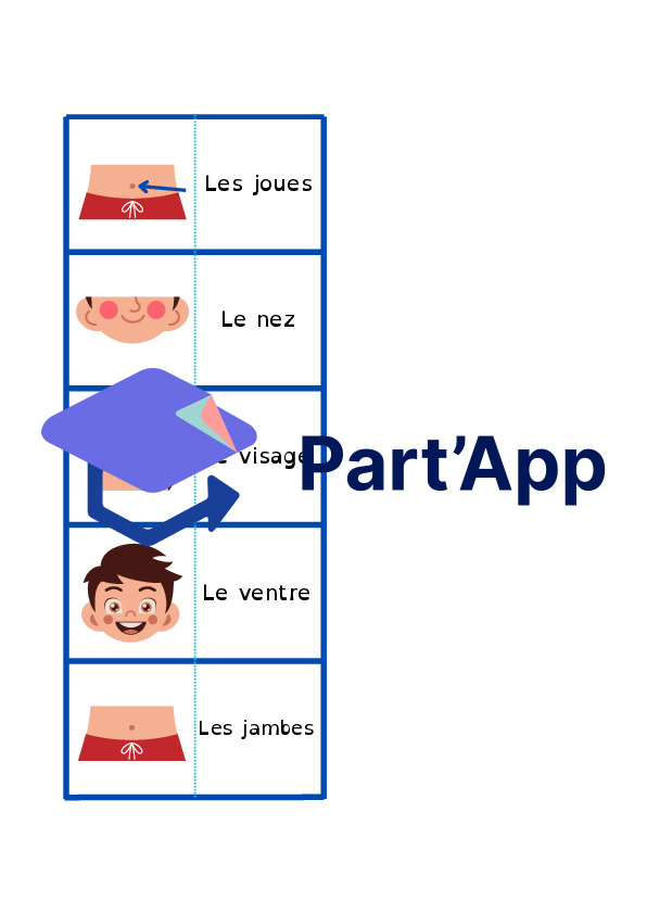 Domino sur les parties du corps humain_4