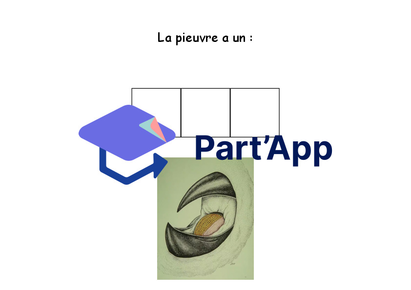 Dossier sur la pieuvre_5