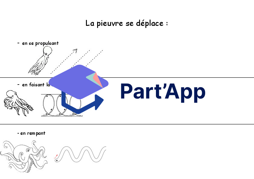 Dossier sur la pieuvre_7