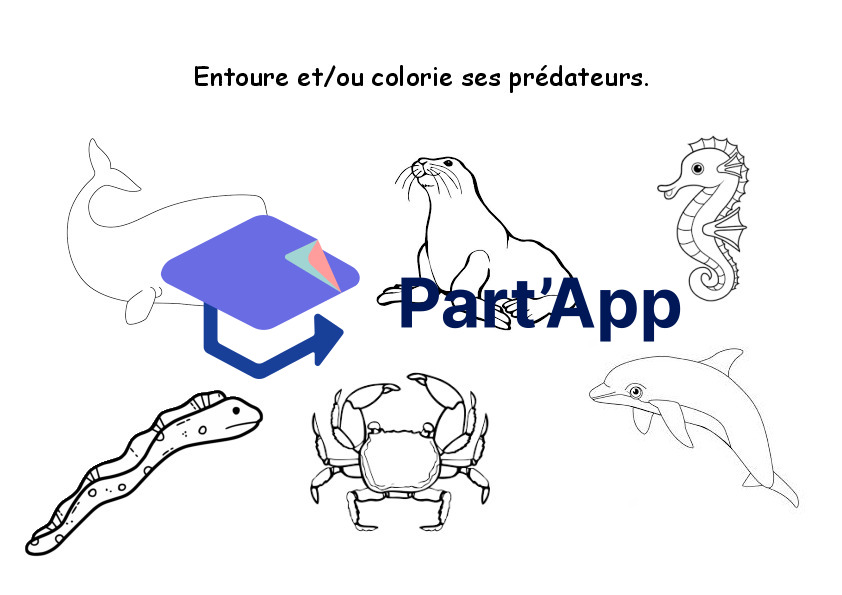 Dossier sur la pieuvre_9
