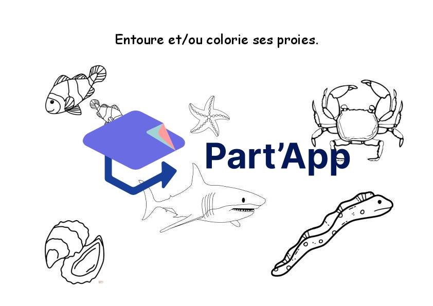 Dossier sur la pieuvre_10