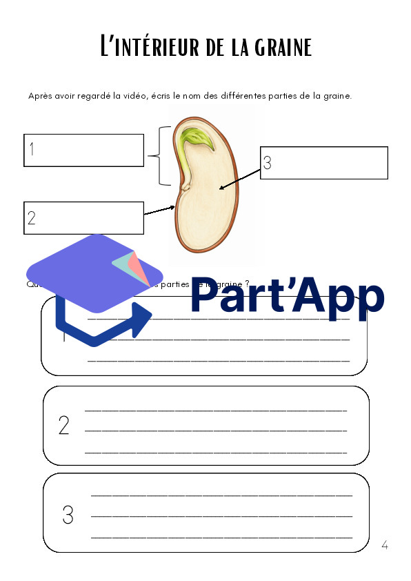 Dossier germination - sciences - 3-4-5H_5
