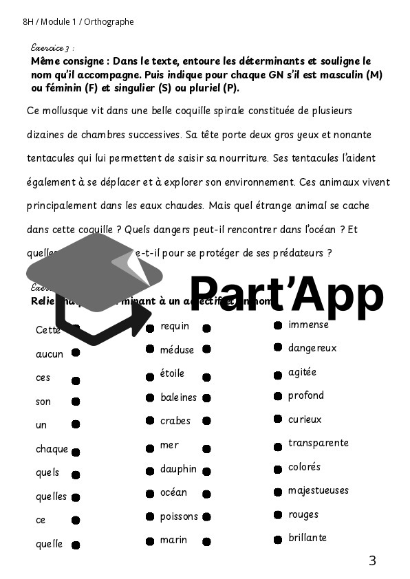 L'accord du GN (D) 8H M1_4