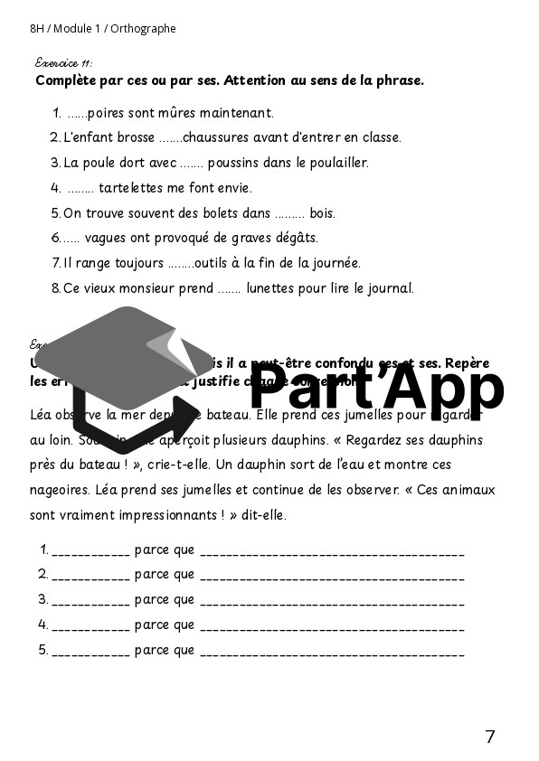 L'accord du GN (D) 8H M1_8