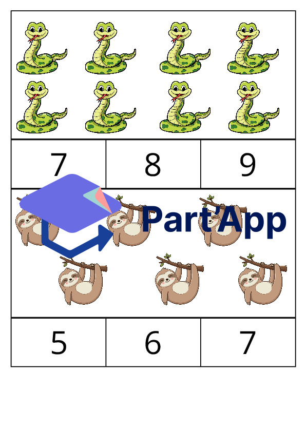 Cartes à compter (20 cartes)_7