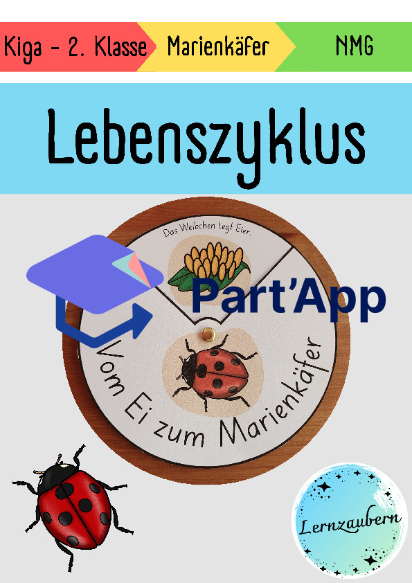 Lebenszyklus Marienkäfer (Drehscheibe)_2