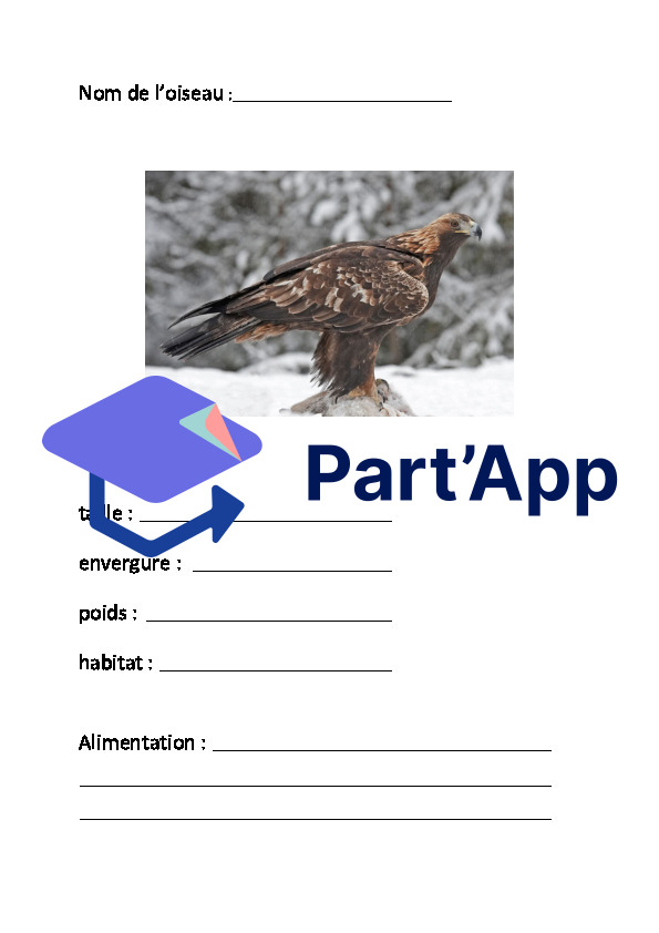 Les oiseaux_2