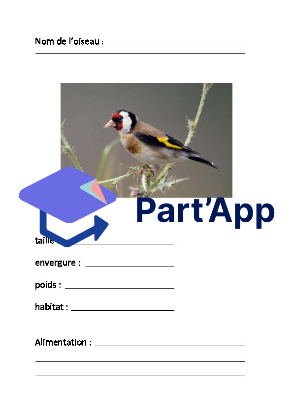 Les oiseaux_5